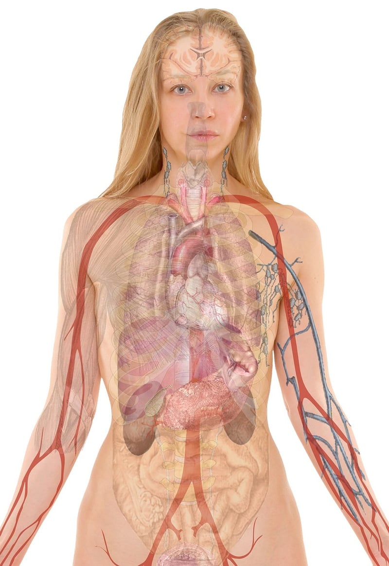 Medical Technologist